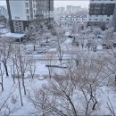 수락산문화의거리 이미지