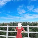 빠담목장 이미지