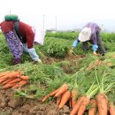 성이농장 이미지