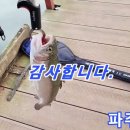 은현피싱타운 이미지