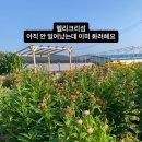 누리달아흐레