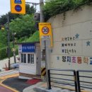 양지초등학교정문 앞 이미지