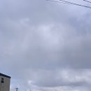 시아바다민박 | { 제주시아네집 민박 한달살기 } 제주 한라산 제주도 요즘 날씨 제주 가족여행 친구끼리 여행 4인가족 숙소
