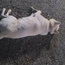 만덕별장 이미지