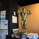 더 킹스짐 이미지