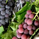 만수낚시터 이미지