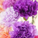 &#34;내가 커도, 부모님은 여전히 나의 봄🌸70~80대 부모님이 진심으로 좋아하는 선물 10가지&#34;