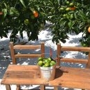 분도농장 이미지