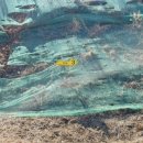 에버힐GC 이미지