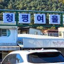 술깨자 티스토리