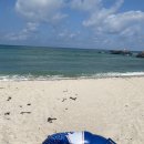 레몬비 곽지해변점 이미지