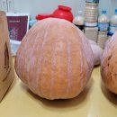 대왕농장 이미지