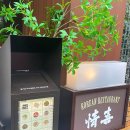 정희애견 이미지