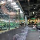 Cafe in Garden 티스토리