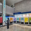 족보전 더코리아