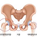 주니어 발레 이미지