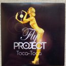Fly Project - Toca Toca (Radio Edit) 이미지