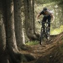 자이언트팩토리 이미지