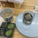 우리 집 작은 정원(홈 가드닝)만들기 | [창원 이색데이트] 창원이끼테라리움 나만의 작은 정원 보타미 체험후기