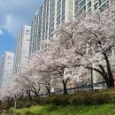 드림점핑클럽 이미지