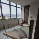 필라테스;스테디