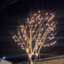 이디야 항구점 | 울진 밤바다 끝판왕… 이디야 울진항점 야경 미쳤다