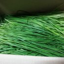 석수농장 이미지