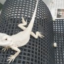 그린펫 동래점 이미지