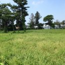 토산2리사무소 이미지