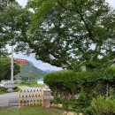 월출산 여우네민박 이미지