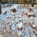 베러멍(Better멍) 이미지