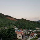 펜션화수목 이미지