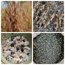 선비콩/녹두/쥐눈이콩/메조/차조/토종늦서리태/파란찰콩/찰수수/적두(빨간팥) 이미지