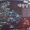 울산 대왕암공원 해안산책로 베스트 코스 이미지