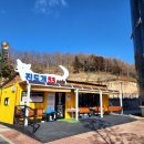 진도개 53카페 이미지