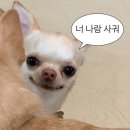 오한수 우육면가 수내점 | 나 아직 산타 믿어요