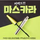 마스카라
