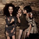 스타일클럽 이미지