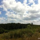 배들농장 이미지