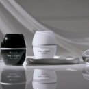 데이앤나이트 이미지