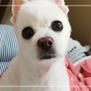 김성록동물병원 이미지