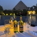 해뜨는힐링하우스 | 이집트 신혼여행 카이로 숙소 피라미드 뷰 카이로 메리어트 메나 하우스 Marriott Mena House, Cairo