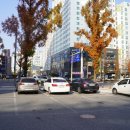 유명지마트 이미지