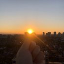 해를 담다 이미지