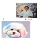 2030년 개띠해 월별운세 이미지