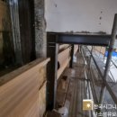 선일체육관 이미지