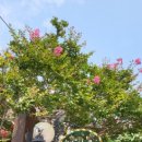 개미촌펜션 이미지