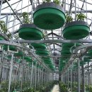 (주)코리아팜 이미지