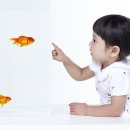 아이토마토한의원 이미지