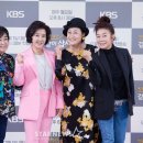 같이삽시다 이미지